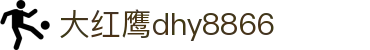 大红鹰dhy8866(中国)股份有限公司